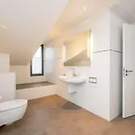 Parkloft Penthouse
